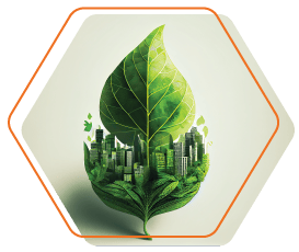 Values-Environment.png