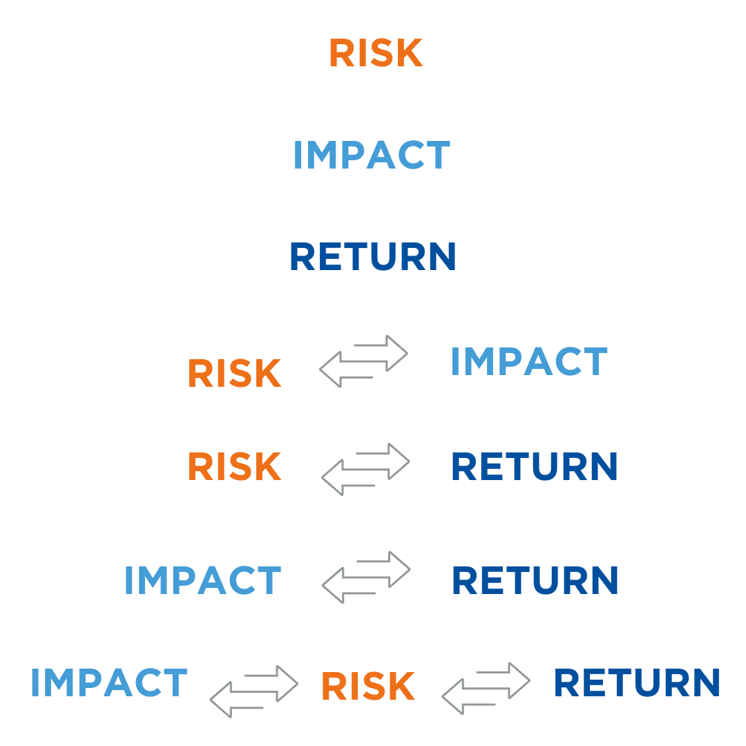 Optimizing IRR, Impact, Risk & Return | AMINDIS