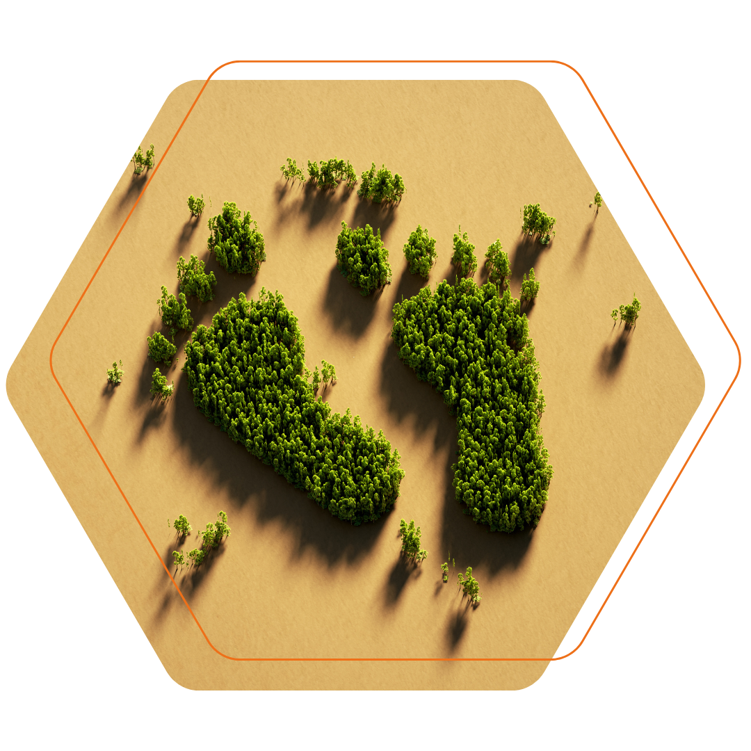 Attribution_Carbon_Hexagone