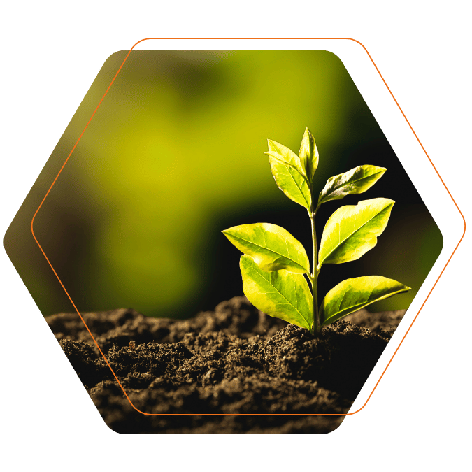 hexagone environment