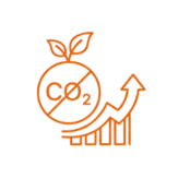 carbon neutral returns